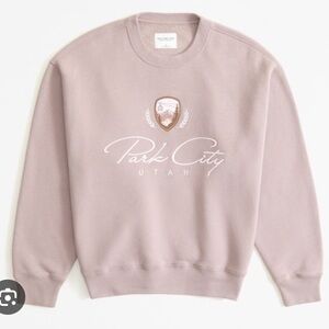 Abercrombie and Fitch Sweatshirt